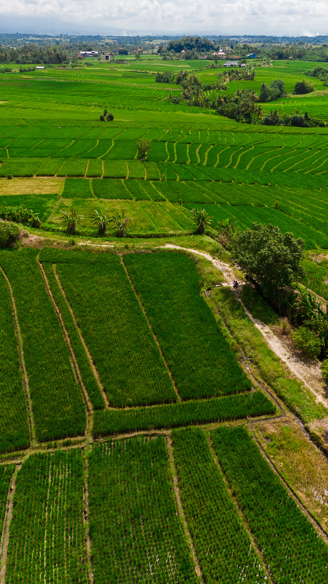 Property for sale in Kerambitan, Bali