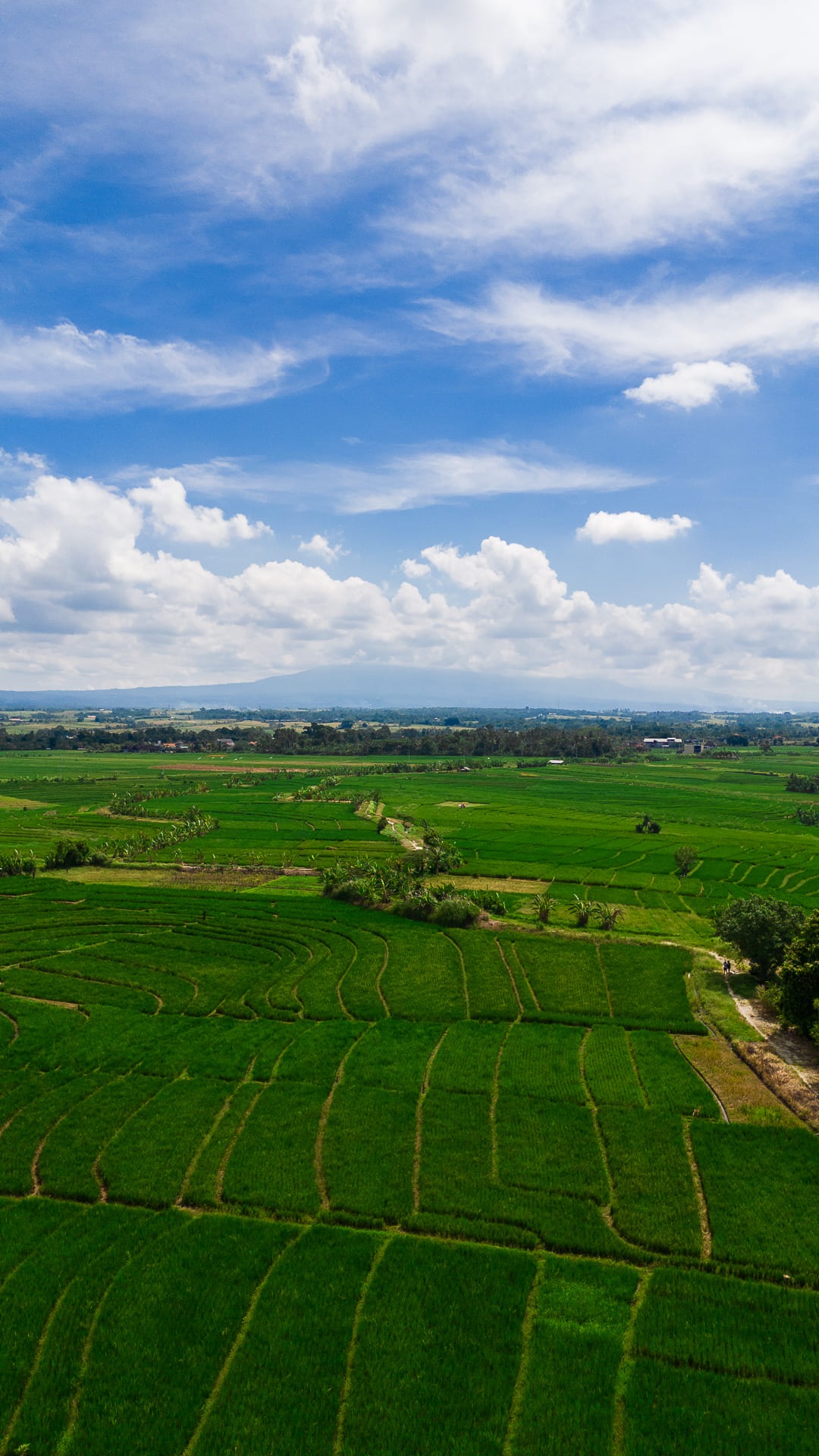 WEST BALI ESTATE — 30+ hectares of freehold and leasehold land in west Bali — Kerambitan, Bali (photo 5)