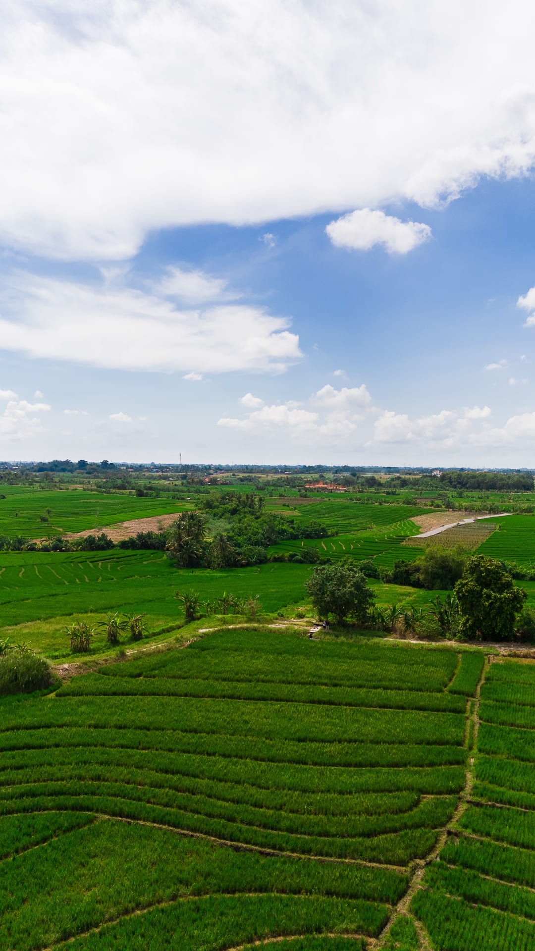 WEST BALI ESTATE — 30+ hectares of freehold and leasehold land in west Bali — Kerambitan, Bali (photo 4)