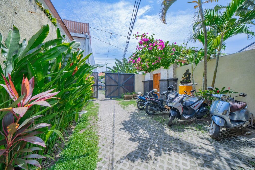 Lush Entrance Tropical Greenery-lea2