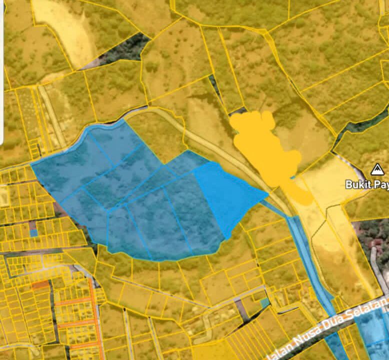 WhatsApp Image 2026-03-10 at 12.50.03