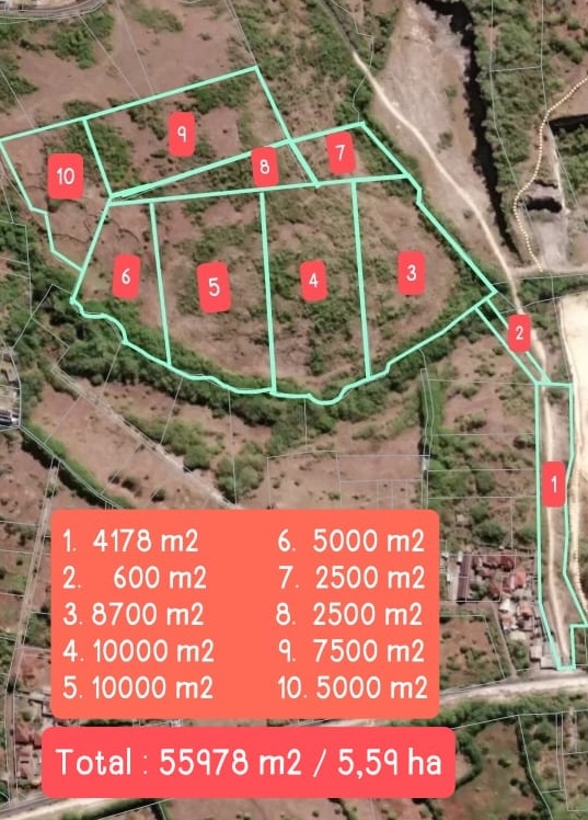 WhatsApp Image 2026-03-11 at 19.26.48