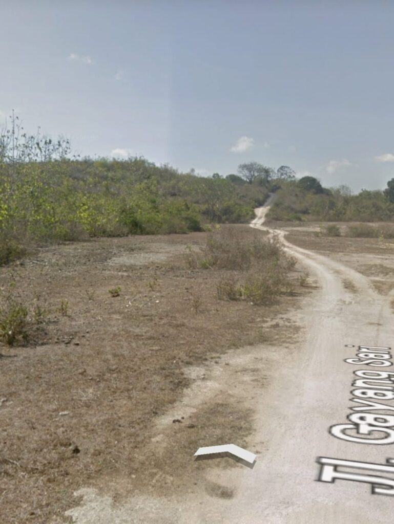 WhatsApp Image 2026-03-11 at 19.26.49 (1)