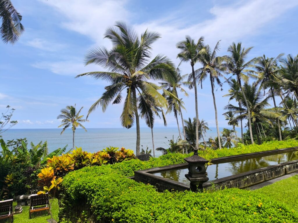 WhatsApp Image 2026-03-29 at 07.15.37 (2)