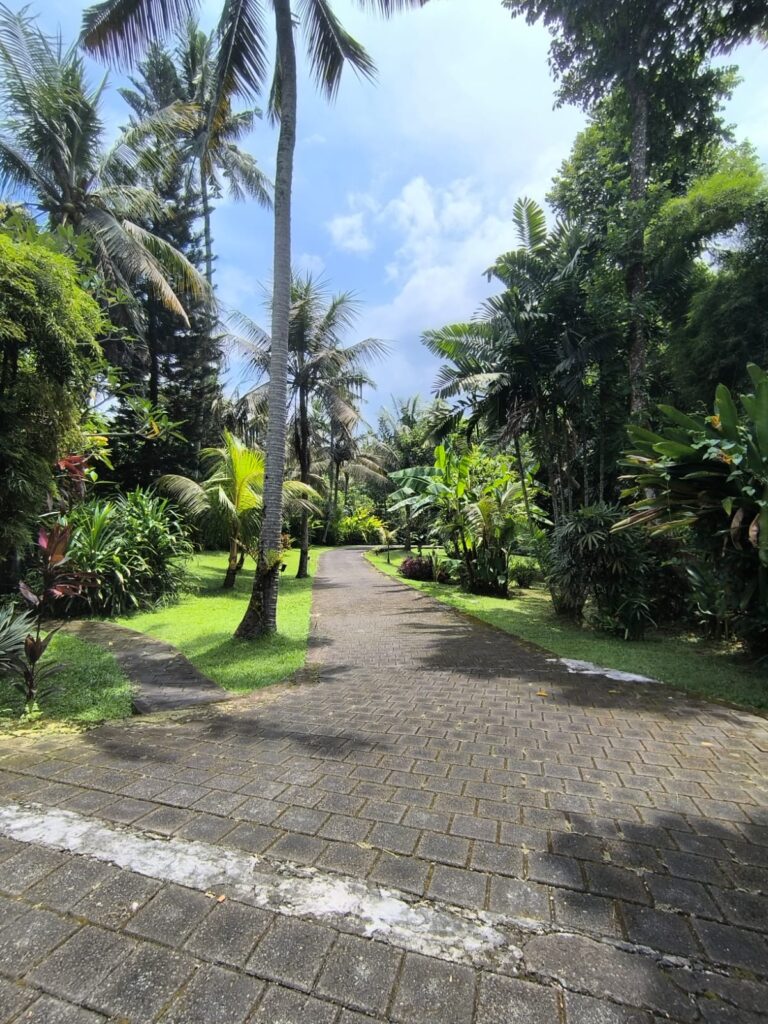 WhatsApp Image 2026-03-29 at 07.15.38 (1)