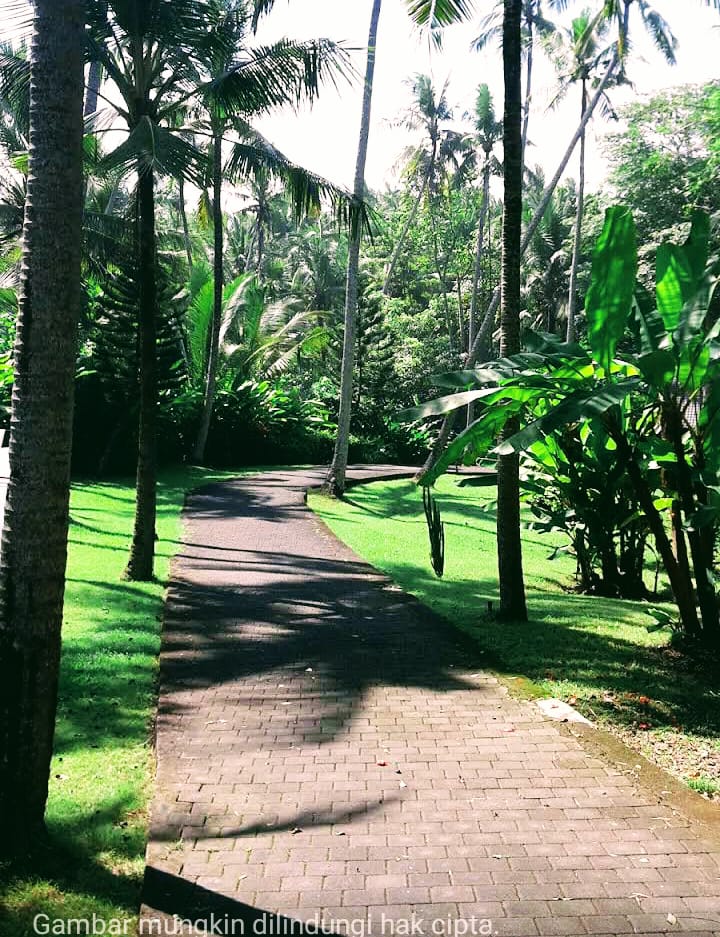 WhatsApp Image 2026-03-29 at 07.15.40 (5)